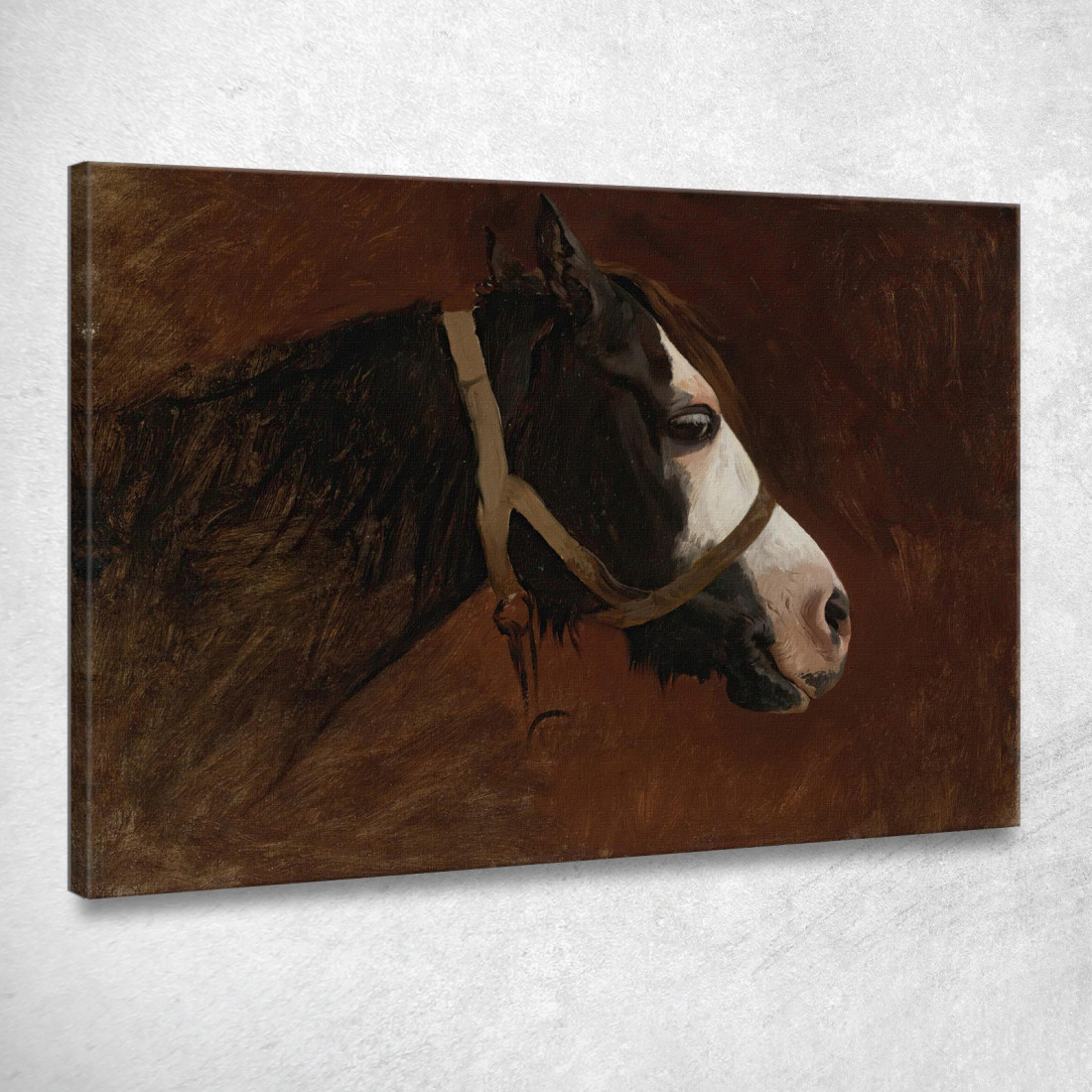 Profilo Di Un Cavallo Jean-Léon Gérôme jlg108 quadro stampato su tela Profilo Di Un Cavallo Jean-Léon Gérôme jlg108 quadro stampato su tela