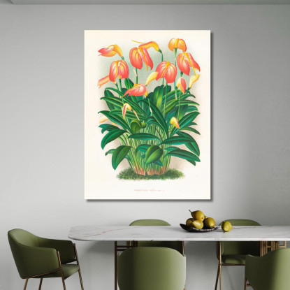Illustrazioni Botaniche Masdevallia Ignea Jean Jules Linden jjl94 quadro stampato su tela