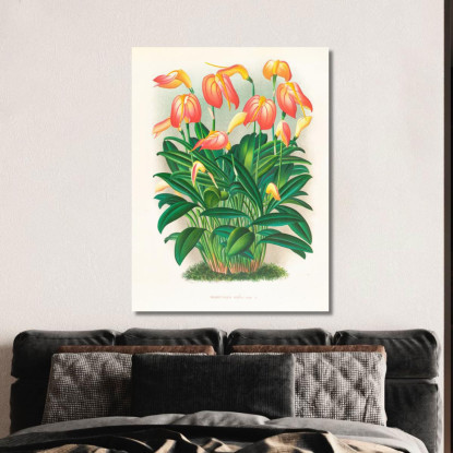 Illustrazioni Botaniche Masdevallia Ignea Jean Jules Linden jjl94 quadro stampato su tela