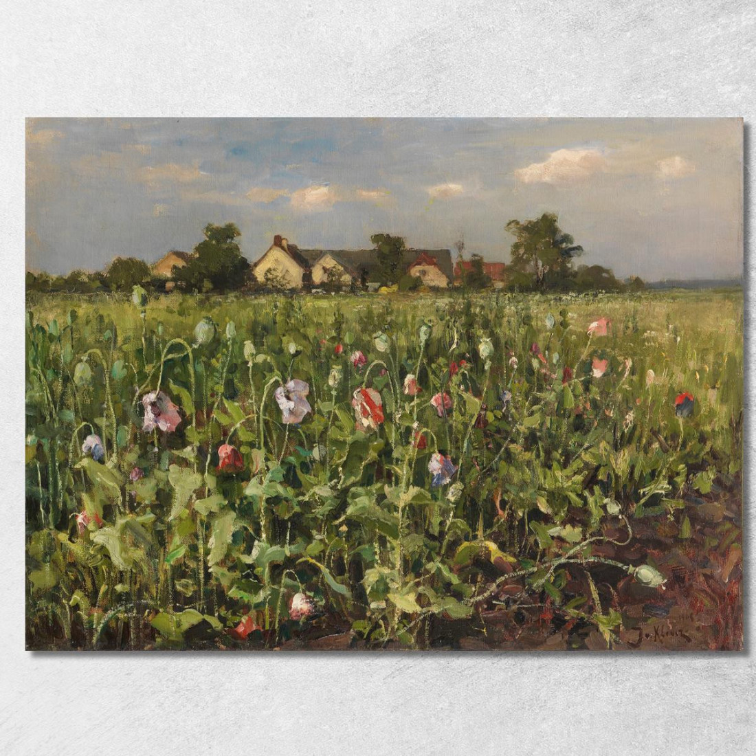 Bluhender Mohn Julius Sergius Klever jsk7 quadro stampato su tela Bluhender Mohn Julius Sergius Klever jsk7 quadro stampato su tela