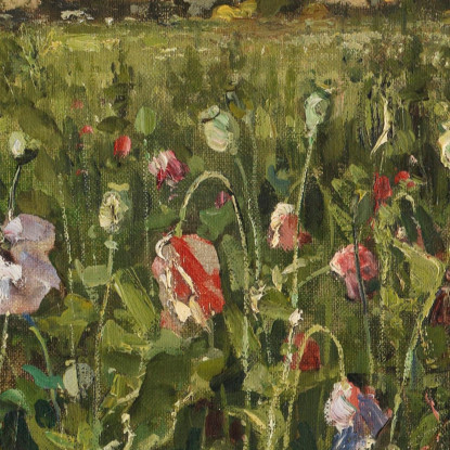 Bluhender Mohn Julius Sergius Klever jsk7 quadro stampato su tela
