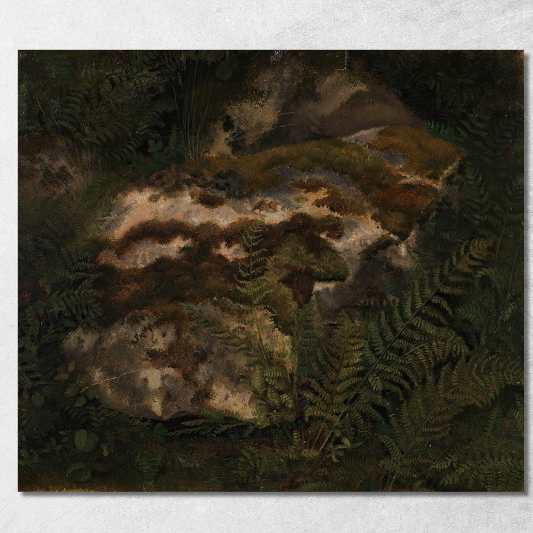 Studio Di Una Pietra Coperta Di Muschio E Felci Adolph Tidemand atd78 quadro stampato su tela Studio Di Una Pietra Coperta Di Muschio E Felci Adolph Tidemand atd78 quadro stampato su tela