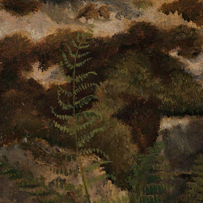 Studio Di Una Pietra Coperta Di Muschio E Felci Adolph Tidemand atd78 quadro stampato su tela