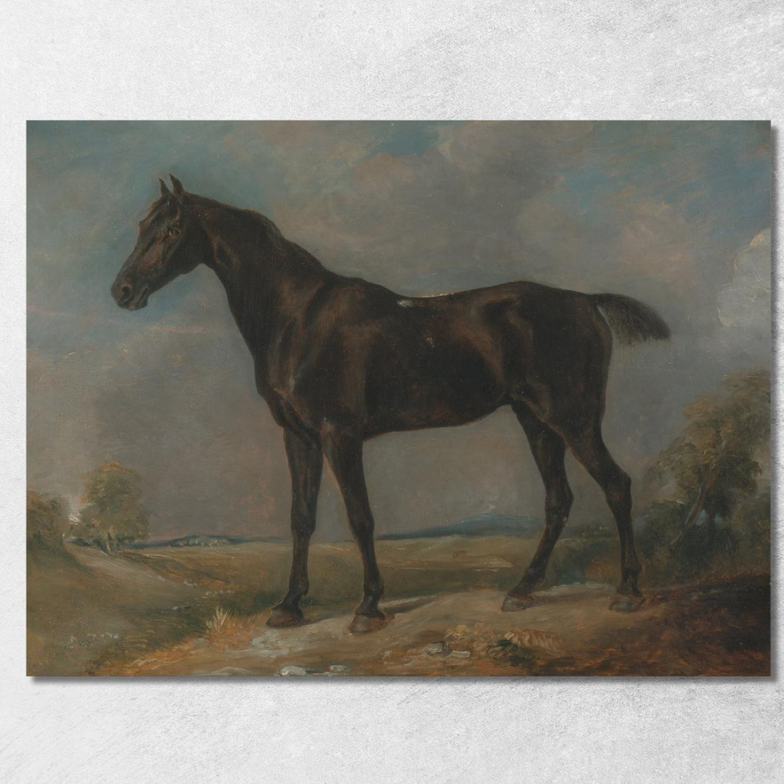 Il Cavallo Nero Da Sella Di Golding Constable John Constable jcn40 quadro stampato su tela Il Cavallo Nero Da Sella Di Golding Constable John Constable jcn40 quadro stampato su tela