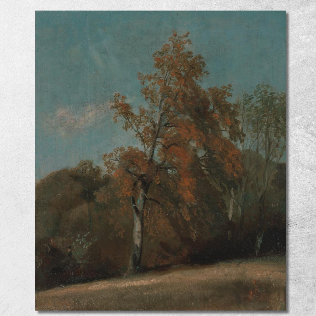 Studio Di Un Frassino John Constable jcn85 quadro stampato su tela Studio Di Un Frassino John Constable jcn85 quadro stampato su tela