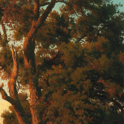 Un Maestoso Albero Nella Luce Della Sera Oswald Achenbach oac1 quadro stampato su tela