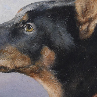 Ritratto Di Un Dobermann Carl Reichert crc44 quadro stampato su tela