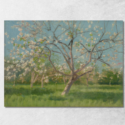 Studio Di Alberi In Fiore In Un Frutteto Ladislav Mednyánszky lmd58 quadro stampato su tela