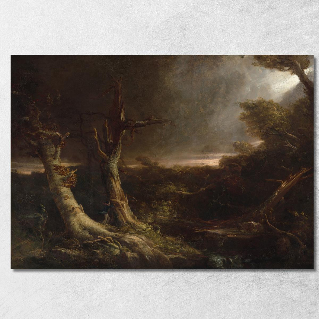 Tornado In Una Foresta Americana Thomas Cole tcl52 quadro stampato su tela