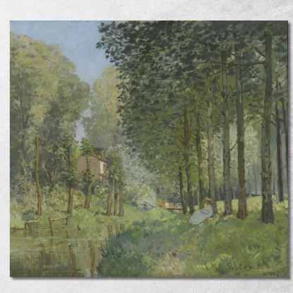 Riposo Lungo Il Ruscello. Bordo Del Bosco Alfred Sisley asi65 quadro stampato su tela