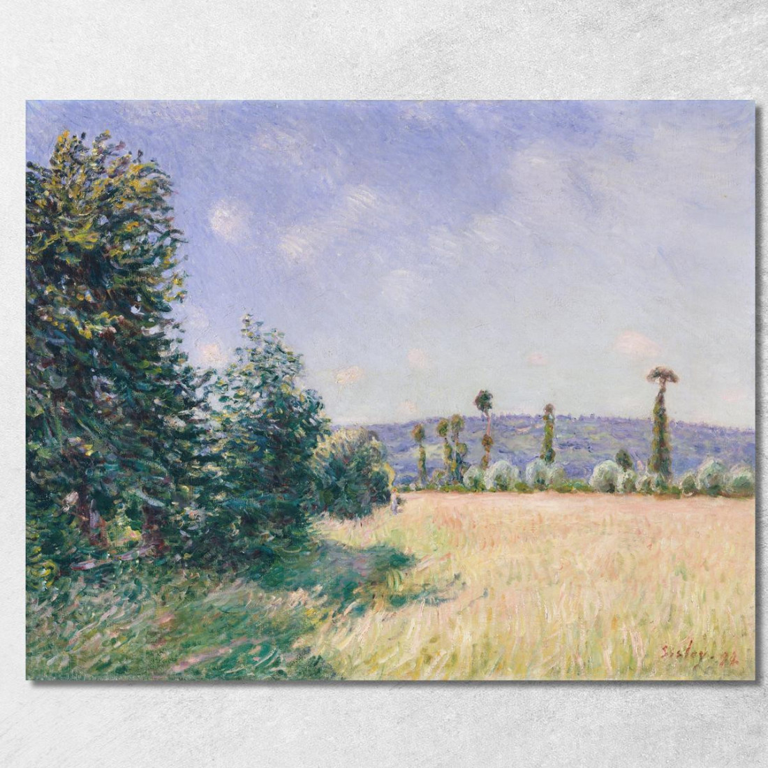 Prati Di Sahurs Al Sole Del Mattino Alfred Sisley asi68 quadro stampato su tela