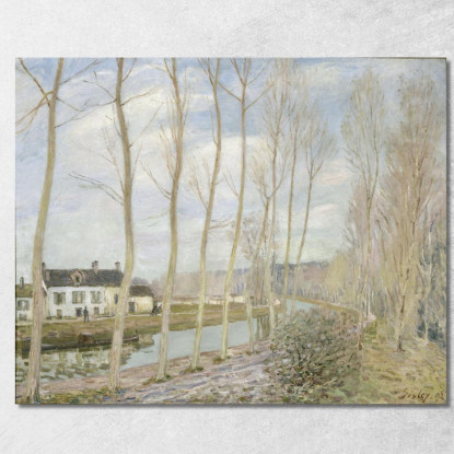 Il Canale Del Loing Alfred Sisley asi81 quadro stampato su tela