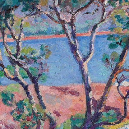 La Baia Di Agay Armand Guillaumin agl23 quadro stampato su tela