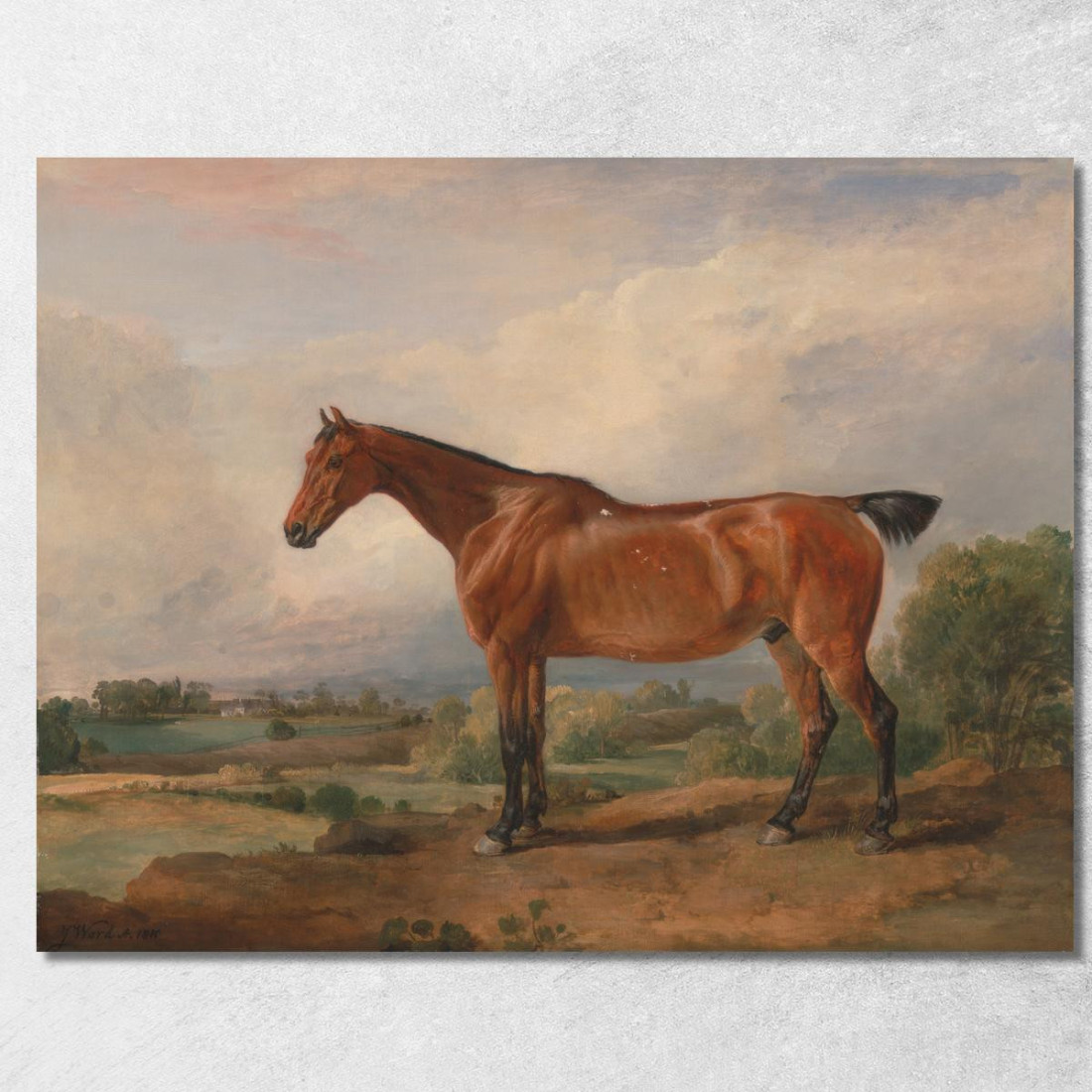 Un Cacciatore In Un Paesaggio James Ward jwr4 quadro stampato su tela Un Cacciatore In Un Paesaggio James Ward jwr4 quadro stampato su tela