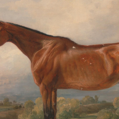 Un Cacciatore In Un Paesaggio James Ward jwr4 quadro stampato su tela