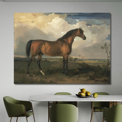Aquila Uno Stallone Celebre James Ward jwr16 quadro stampato su tela