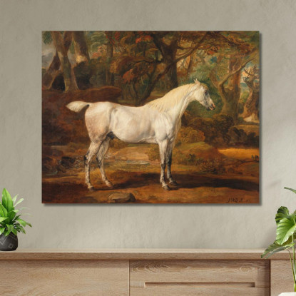 Stallone Arabo Grigio Di Proprietà Di Sir Watkin Williams-Wynn James Ward jwr18 quadro stampato su tela