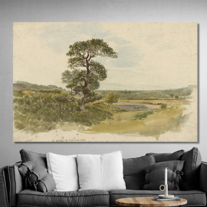 Paesaggio Nello Snowdonia Con Un Albero In Primo Piano John Linnell jln3 quadro stampato su tela