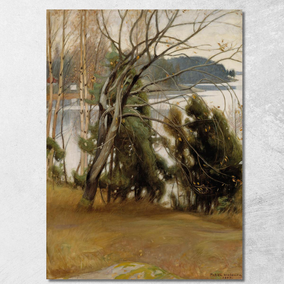 Salice In Autunno Pekka Halonen phl19 quadro stampato su tela Salice In Autunno Pekka Halonen phl19 quadro stampato su tela