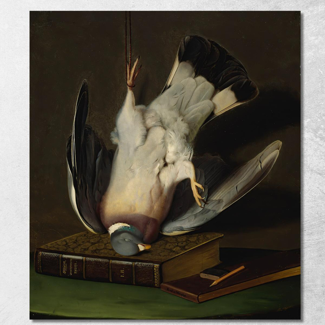 Un Piccione Selvatico Morto Ferdinand von Wright fvw1 quadro stampato su tela Un Piccione Selvatico Morto Ferdinand von Wright fvw1 quadro stampato su tela