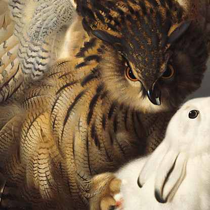 Un Gufo Reale Cattura Una Lepre Ferdinand von Wright fvw2 quadro stampato su tela