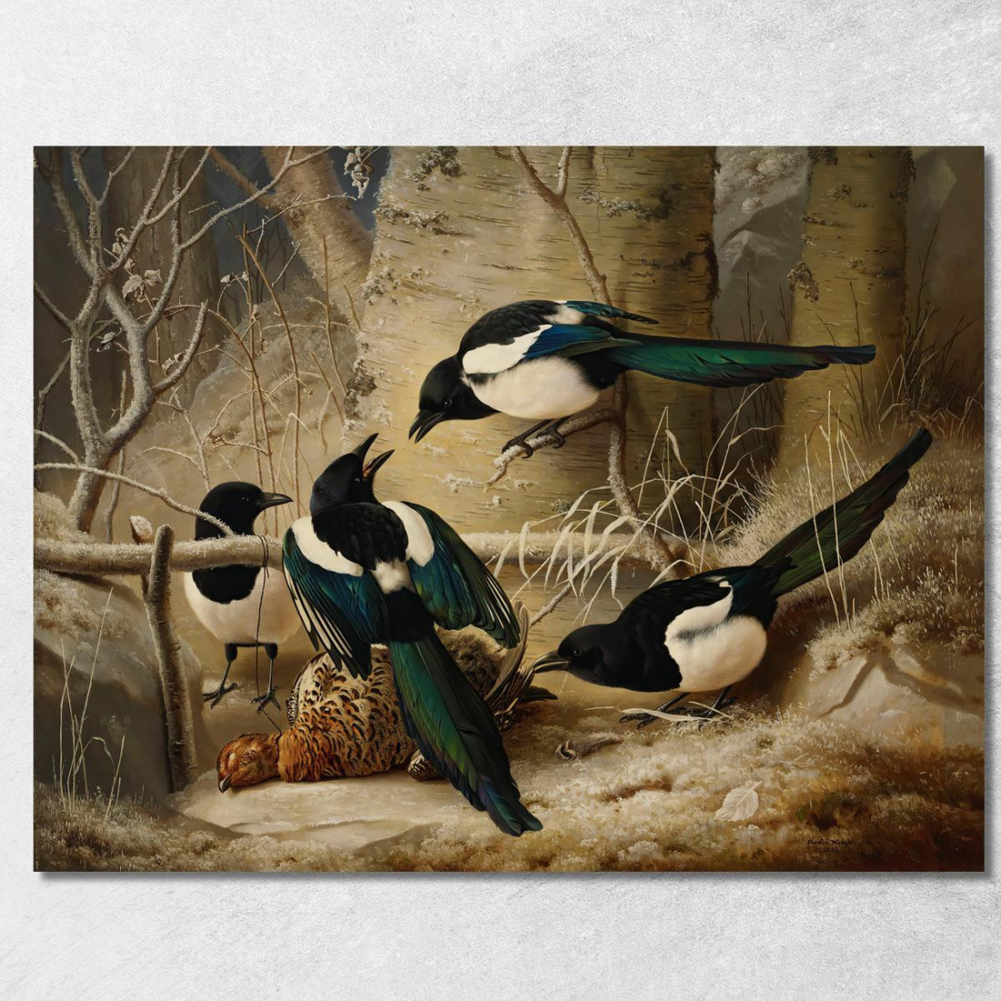 Gazze Attorno A Una Femmina Morta Di Gallo Cedrone Ferdinand von Wright fvw17 quadro stampato su tela Gazze Attorno A Una Femmina Morta Di Gallo Cedrone Ferdinand von Wright fvw17 quadro stampato su tela