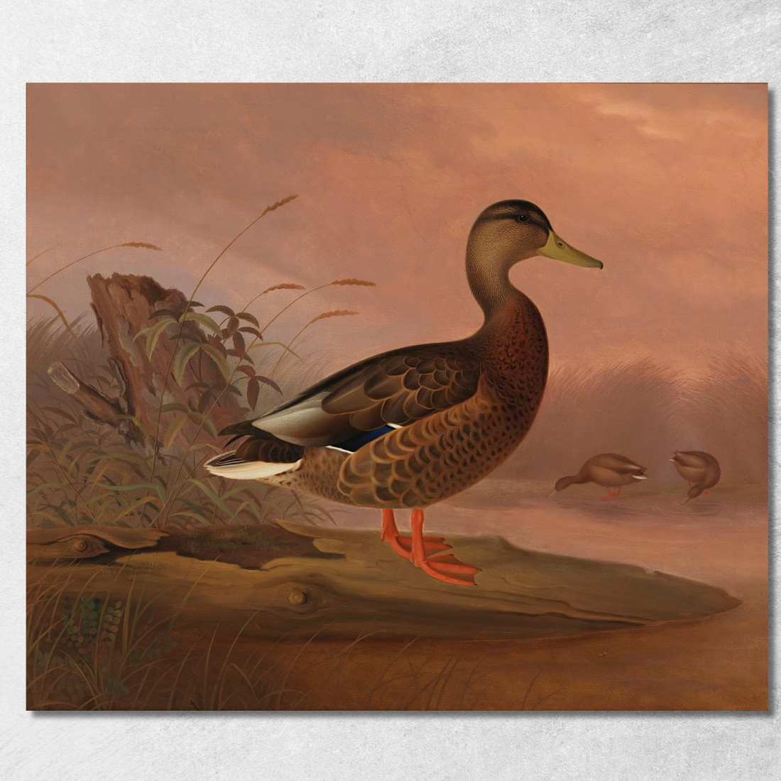Germano Reale Ferdinand von Wright fvw18 quadro stampato su tela Germano Reale Ferdinand von Wright fvw18 quadro stampato su tela