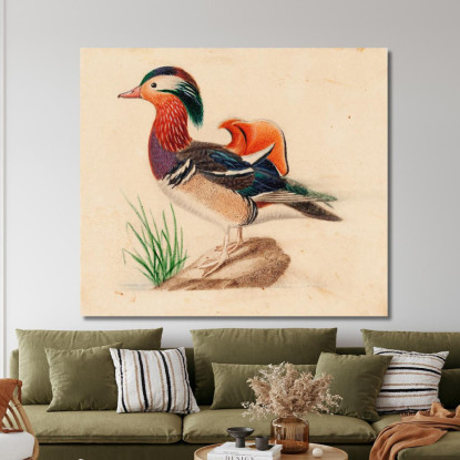 Anatra Mandarina Ferdinand von Wright fvw19 quadro stampato su tela