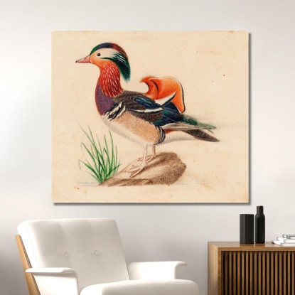 Anatra Mandarina Ferdinand von Wright fvw19 quadro stampato su tela