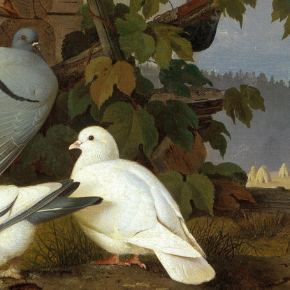 Piccioni Ferdinand von Wright fvw22 quadro stampato su tela
