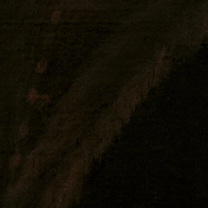 Uomo Con Barba Bianca Jacopo Tintoretto jtn10 quadro stampato su tela