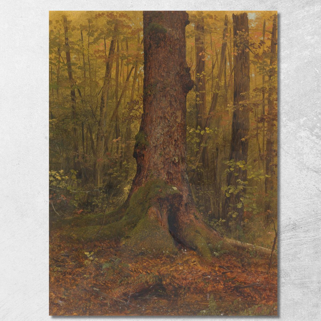 Nel Bosco Probabilmente Maine Frederic Edwin Church fec25 quadro stampato su tela Nel Bosco Probabilmente Maine Frederic Edwin Church fec25 quadro stampato su tela