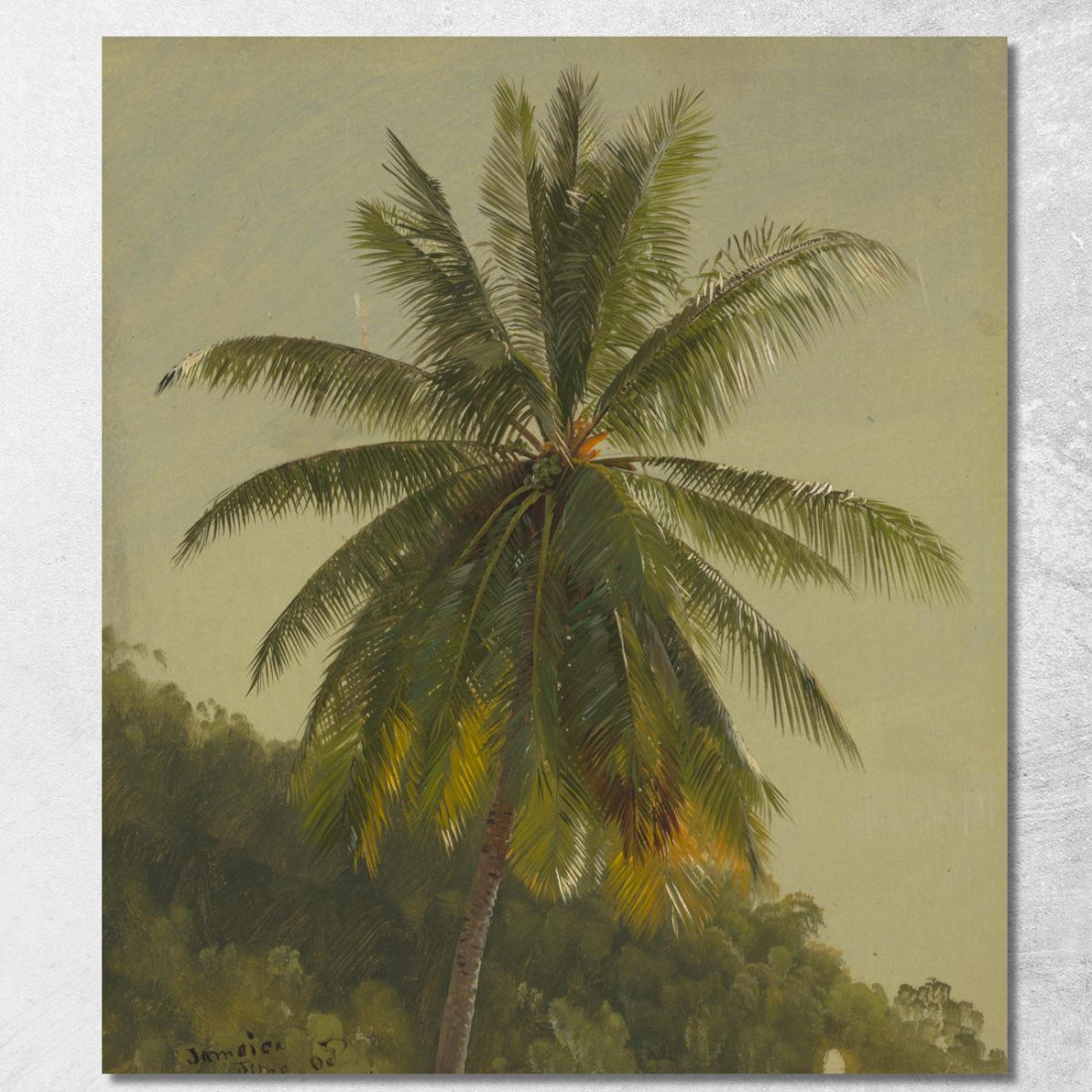 Palme Indie Occidentali Frederic Edwin Church fec68 quadro stampato su tela Palme Indie Occidentali Frederic Edwin Church fec68 quadro stampato su tela