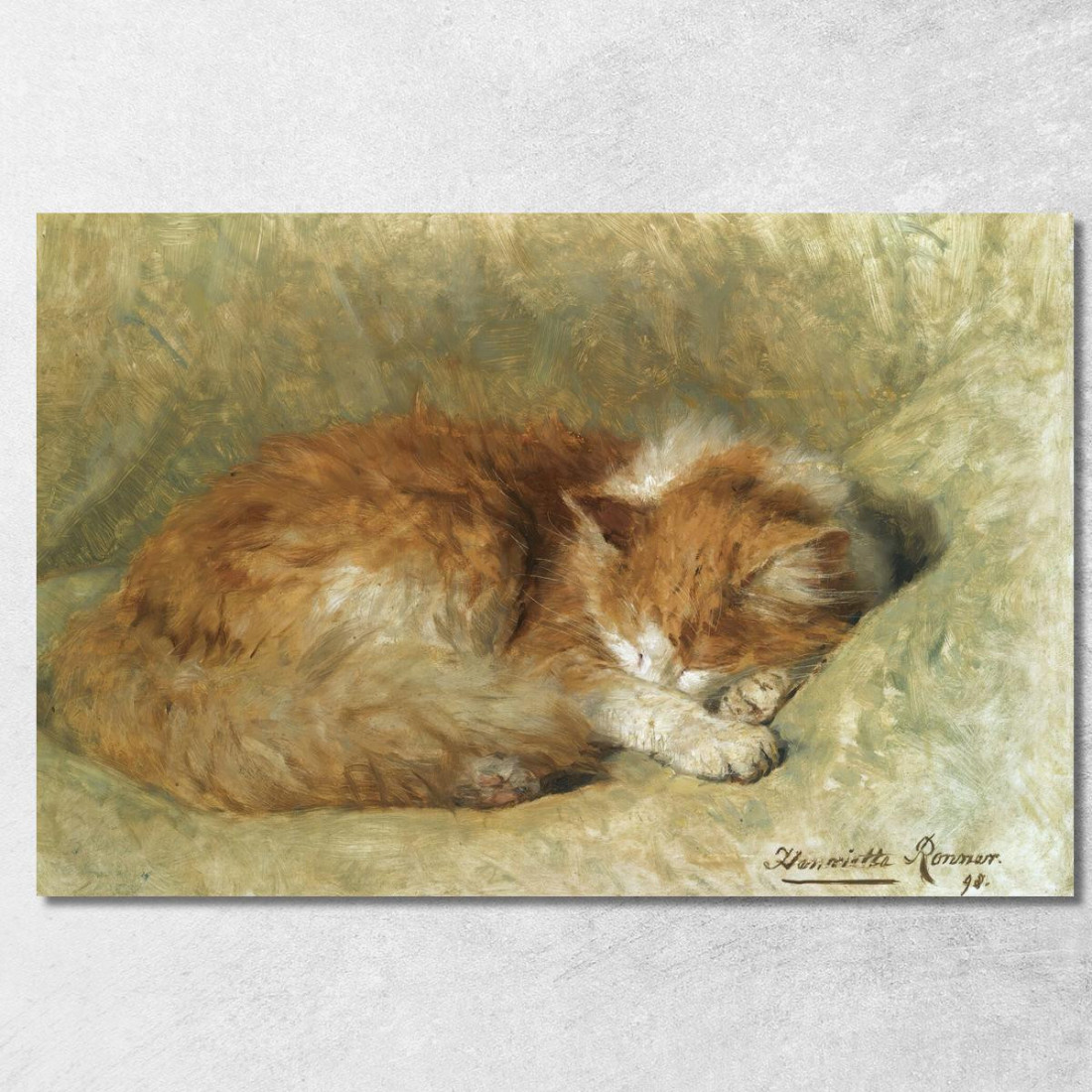 Un Gatto Che Dorme Henriëtte Ronner-Knip hrk4 quadro stampato su tela Un Gatto Che Dorme Henriëtte Ronner-Knip hrk4 quadro stampato su tela