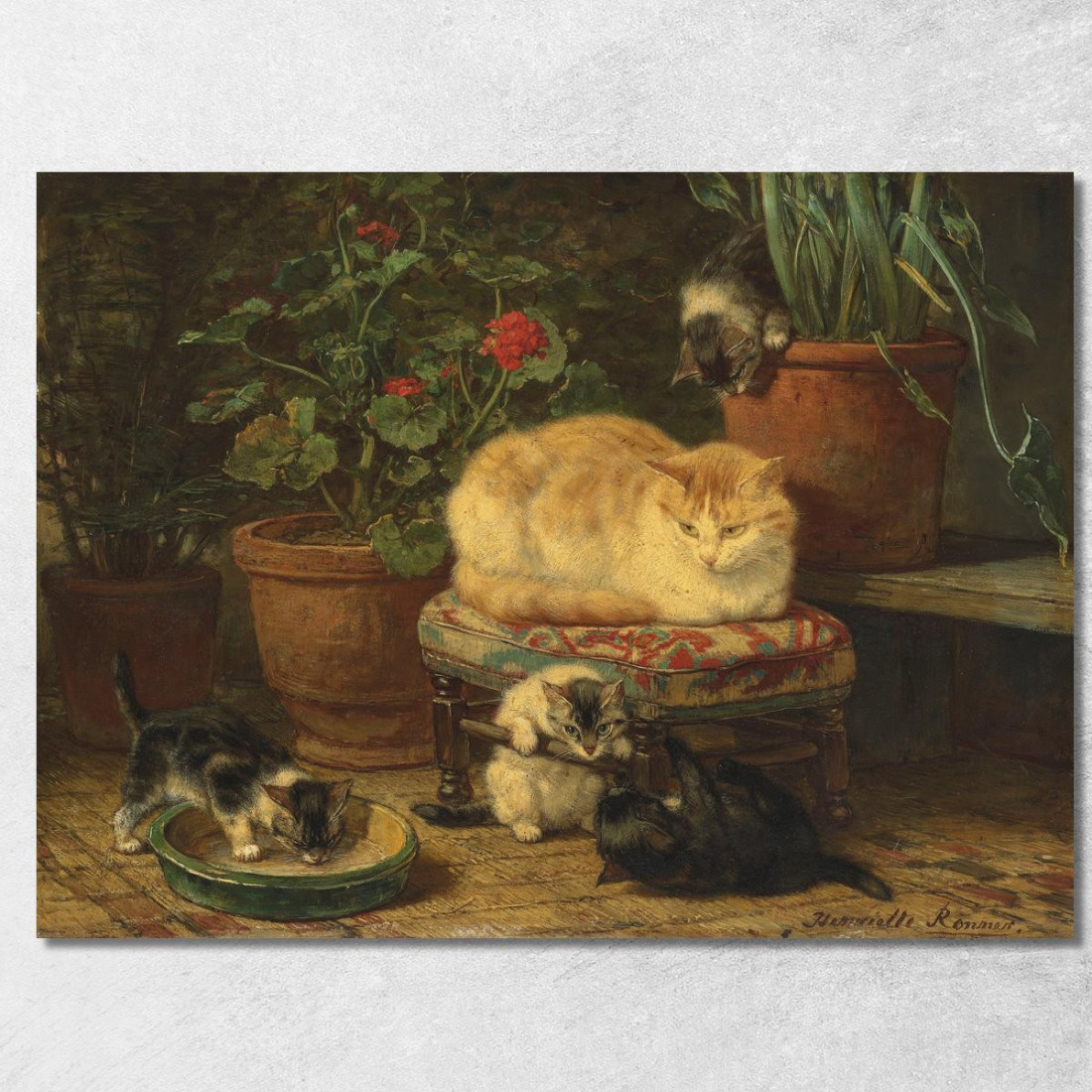 Gattini Che Giocano 3 Henriëtte Ronner-Knip hrk11 quadro stampato su tela Gattini Che Giocano 3 Henriëtte Ronner-Knip hrk11 quadro stampato su tela