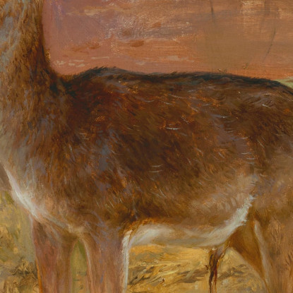 Cerf Rosa Bonheur rbn10 quadro stampato su tela