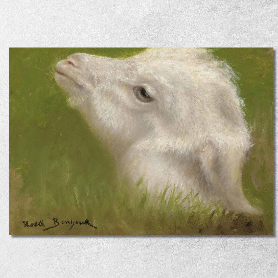 Testa Di Un Agnello Rosa Bonheur rbn17 quadro stampato su tela Testa Di Un Agnello Rosa Bonheur rbn17 quadro stampato su tela