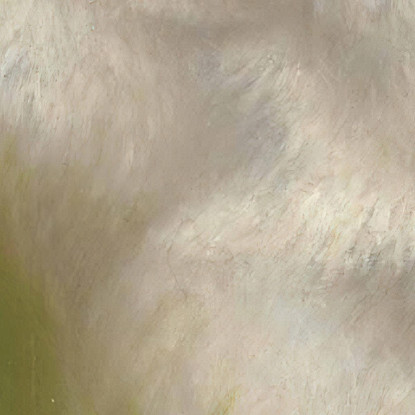 Testa Di Un Agnello Rosa Bonheur rbn17 quadro stampato su tela