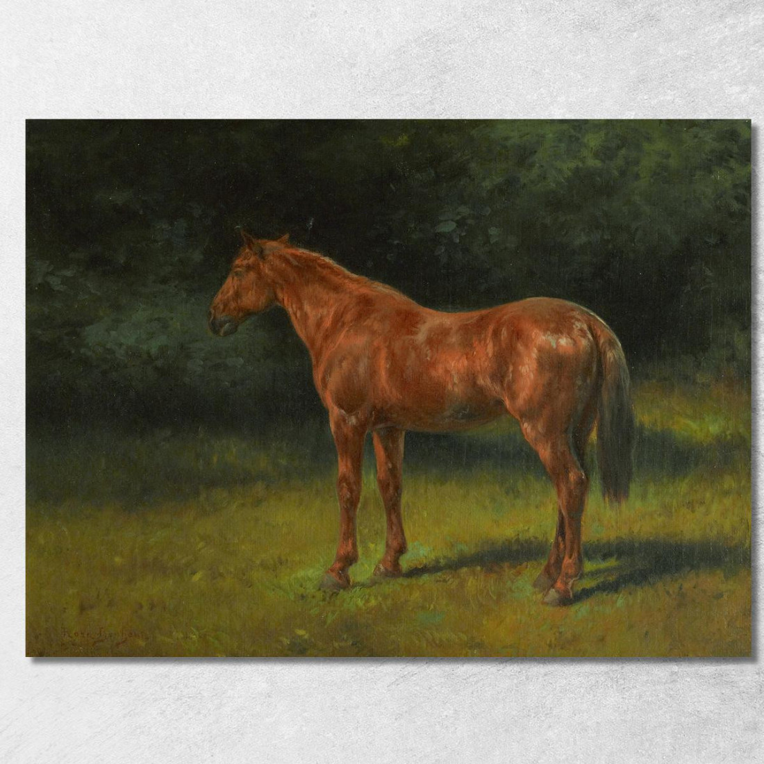 L'Oseille Rouge Rosa Bonheur rbn30 quadro stampato su tela