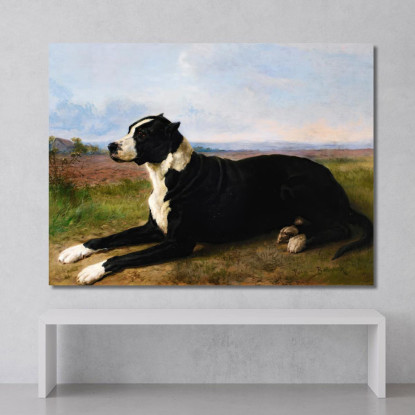 Ritratto Di Un Mastino-Labrador In Un Paesaggio Rosa Bonheur rbn35 quadro stampato su tela