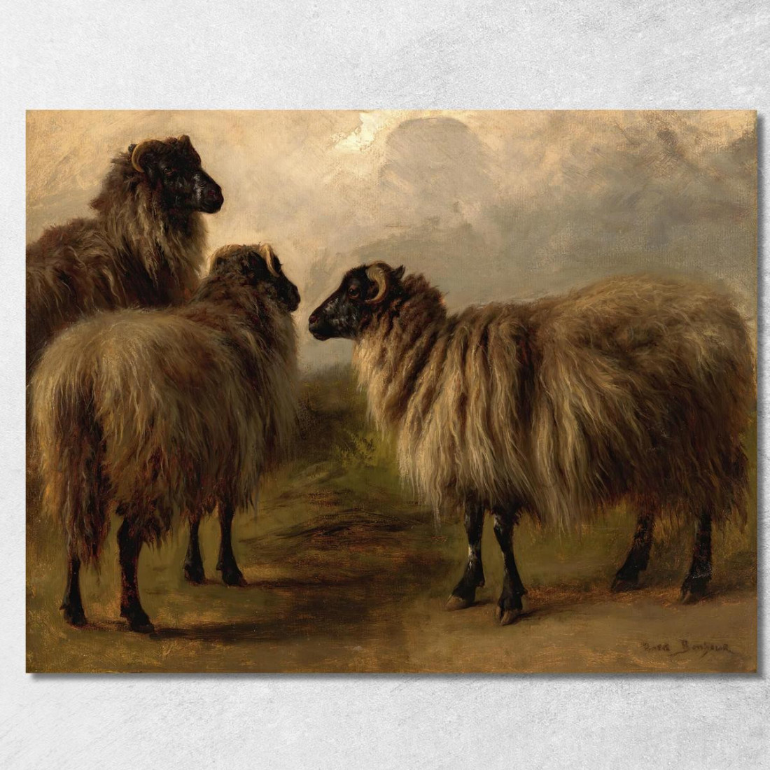 Tre Pecore Lanose Rosa Bonheur rbn52 quadro stampato su tela Tre Pecore Lanose Rosa Bonheur rbn52 quadro stampato su tela