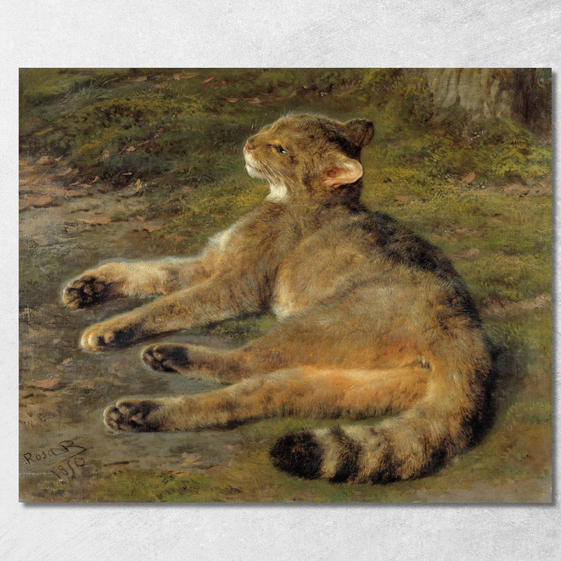 Gatto Selvatico Rosa Bonheur rbn66 quadro stampato su tela Gatto Selvatico Rosa Bonheur rbn66 quadro stampato su tela