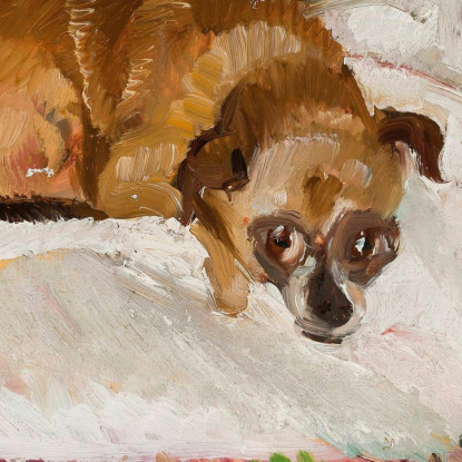 Cane Sdraiato 2 Zygmunt Waliszewski zwl27 quadro stampato su tela