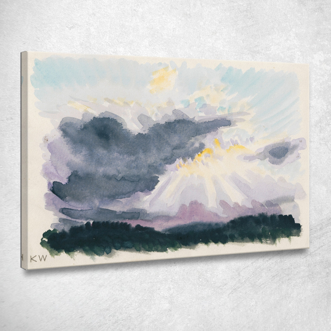 Studio Della Natura Xxv Karl Wiener kwn410 quadro stampato su tela Studio Della Natura Xxv Karl Wiener kwn410 quadro stampato su tela
