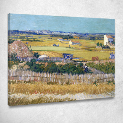 Il Raccolto Vincent van Gogh vvg28 quadro stampato su tela