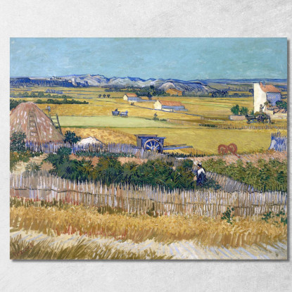 Il Raccolto Vincent van Gogh vvg28 quadro stampato su tela