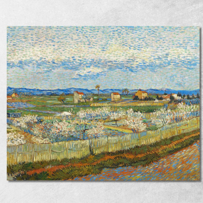 Peschi In Fiore Vincent van Gogh vvg48 quadro stampato su tela