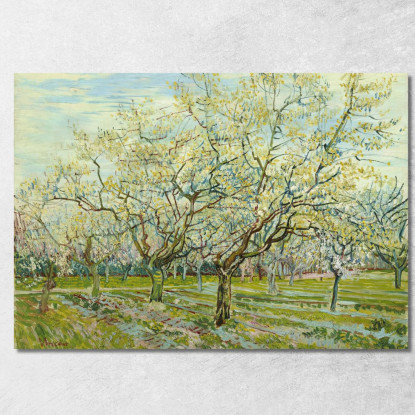 Il Frutteto Bianco Vincent van Gogh vvg52 quadro stampato su tela