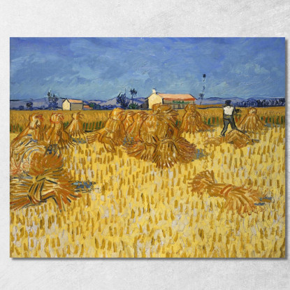 Raccolto In Provenza Vincent van Gogh vvg56 quadro stampato su tela