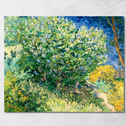 Cespuglio Di Lillà Vincent van Gogh vvg63 quadro stampato su tela